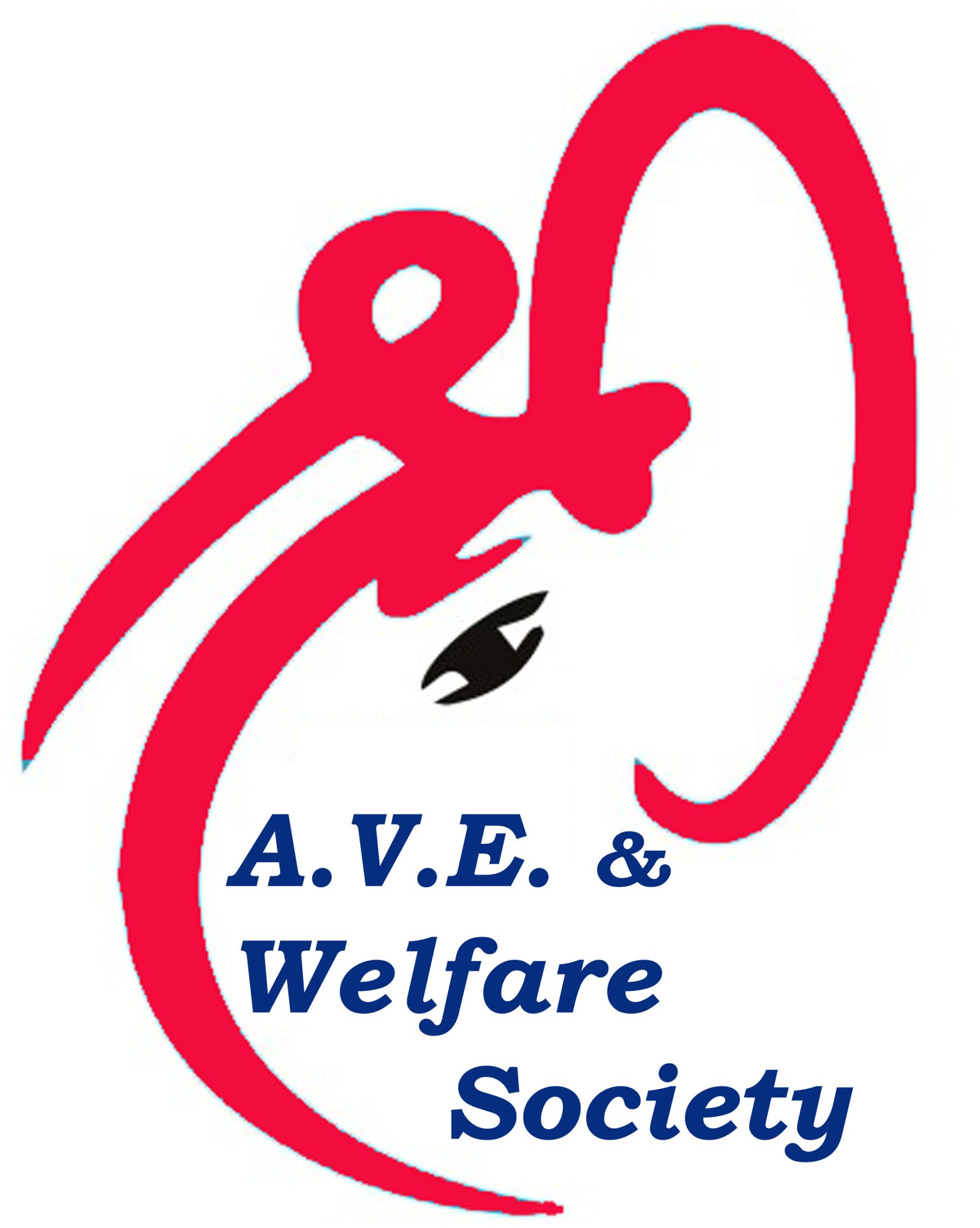 Shri Asht Vinayak Educational And Welfare Society